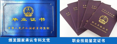 新疆文孚技工学校